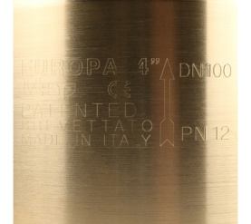 Клапан обратный пружинный муфтовый с металлическим седлом EUROPA 100 4 Itap 7