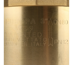 Клапан обратный пружинный муфтовый с металлическим седлом EUROPA 100 3 Itap 7