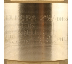 Клапан обратный пружинный муфтовый с металлическим седлом EUROPA 100 2 1/2 Itap 7